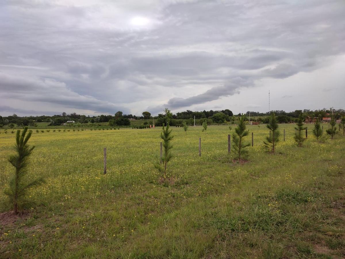 Tierra De Inmigrantes Villa Baradero Bagian luar foto